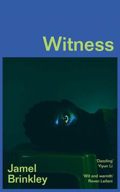Witness Book Cover