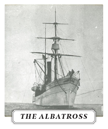 U.S. steamer Albatross