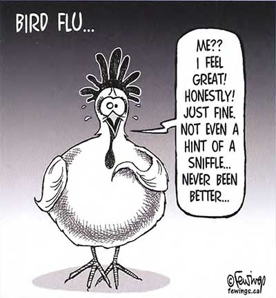 Bird Flu Cartoon