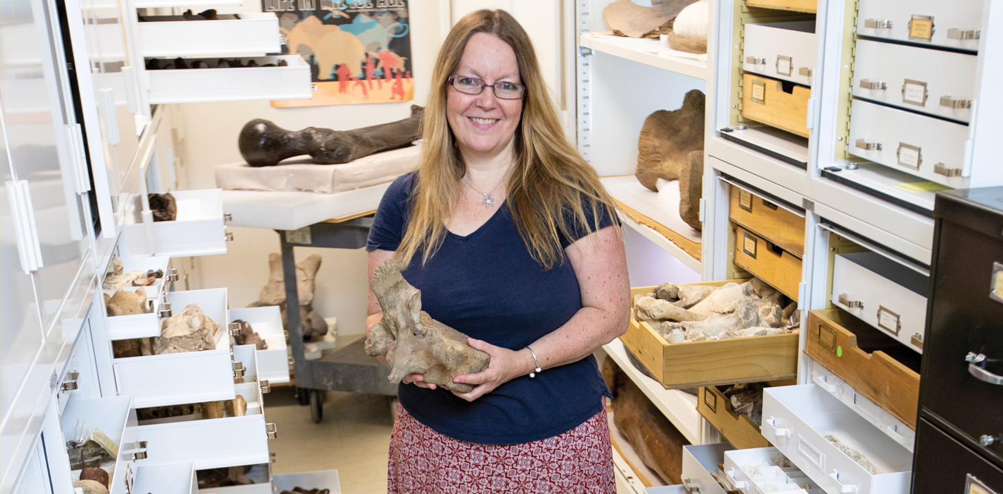 University of Iowa Paleontology Repository collections manager Tiffany Adrain