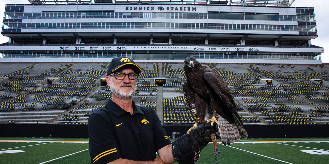 Native Birds Soar Over the Home of the Hawks on Game Day