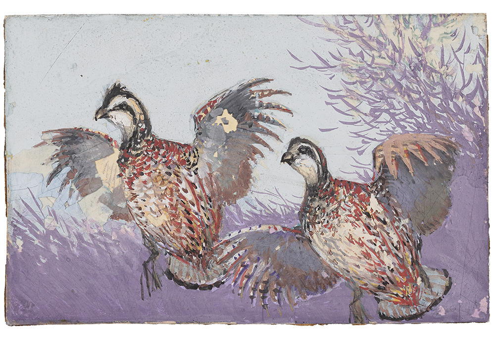 Watercolor paintings by Iowan Jay N. �Ding� Darling that became federal wildlife stamps