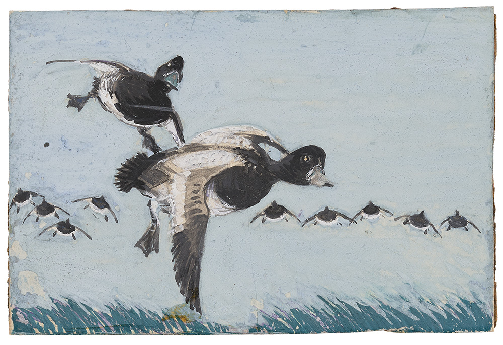Watercolor paintings by Iowan Jay N. �Ding� Darling that became federal wildlife stamps