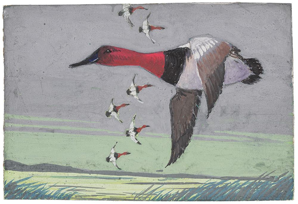 Watercolor paintings by Iowan Jay N. �Ding� Darling that became federal wildlife stamps