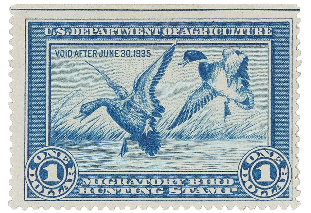 Watercolor paintings by Iowan Jay N. �Ding� Darling that became federal wildlife stamps