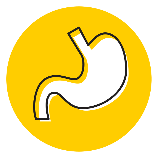 stomach icon