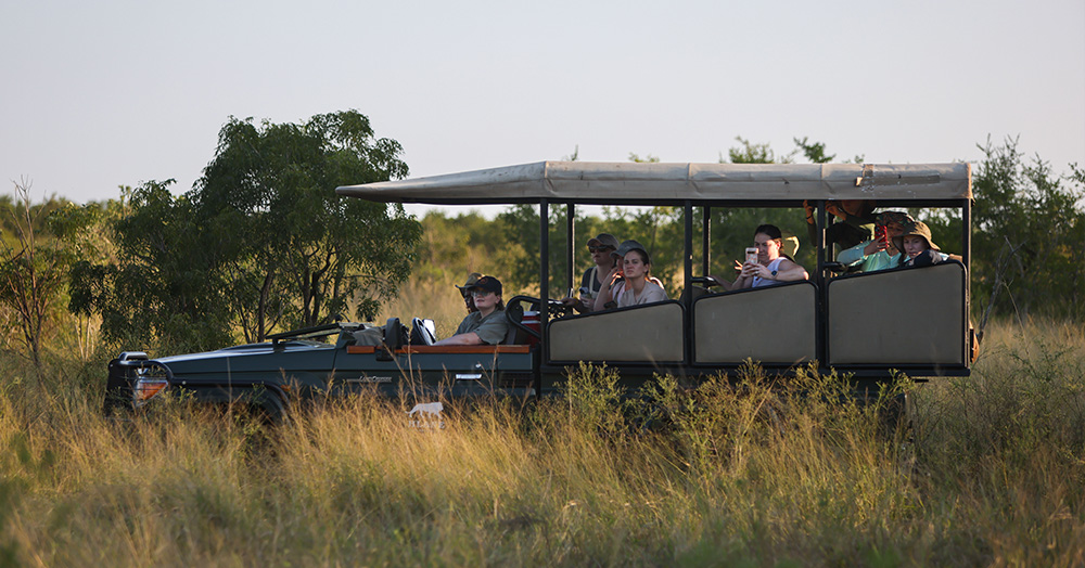 UI College of Nursing students experience wildlife on an African safari while studying abroad in Eswatini.