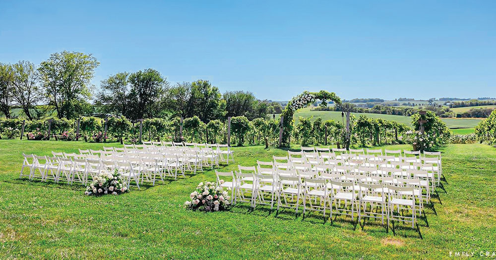 Wedding Setup