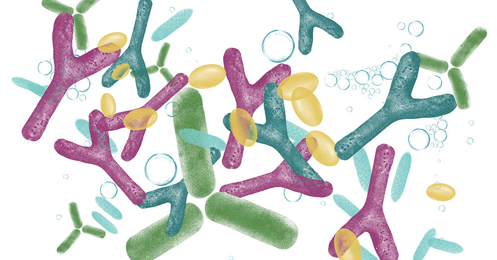 Gut microbiome