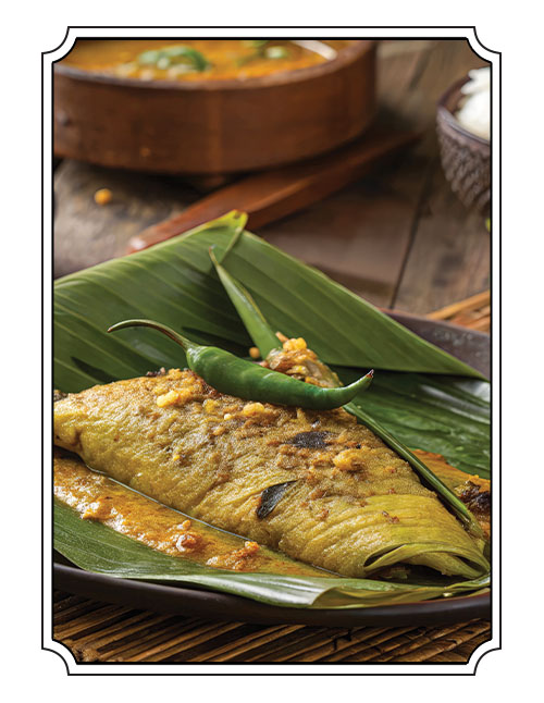 Bhetki paturi