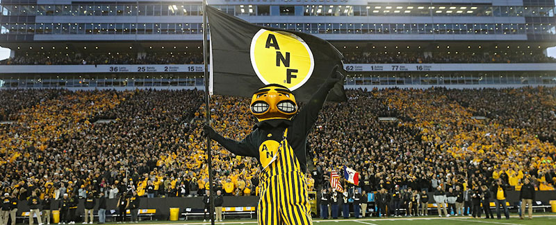 Herky with ANF flag