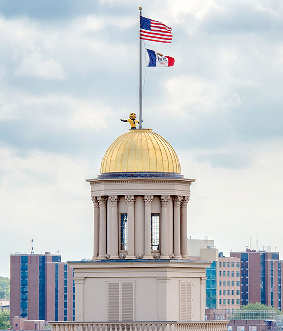 Iowa mascot