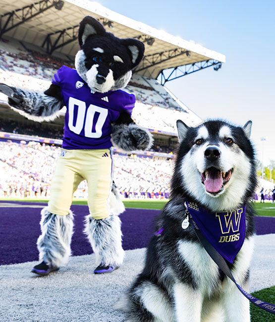 Washington Mascot